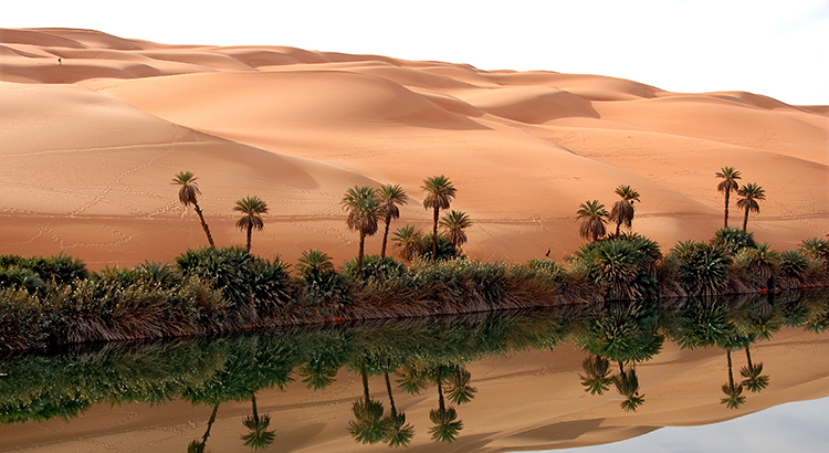 Sellers: Your House Could Be an Oasis for Buyers Seeking More&nbsp;Options